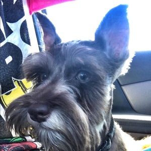 Meet your Posher, Bekka